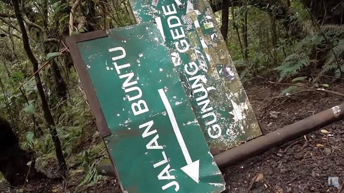 Jalur ilegal pendakian Gunung Gede
