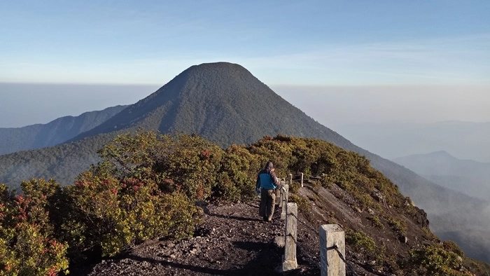 5 Hal Penting Harus Diketahui Sebelum Booking Simaksi Gunung Gede Pangrango